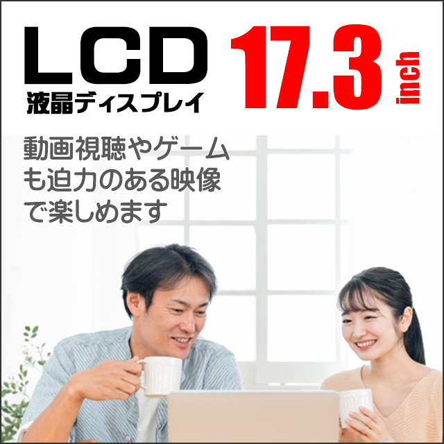 LCD★17.3型液晶ディスプレイ