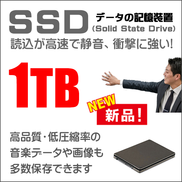 ストレージ★1000GB（新品SSD）